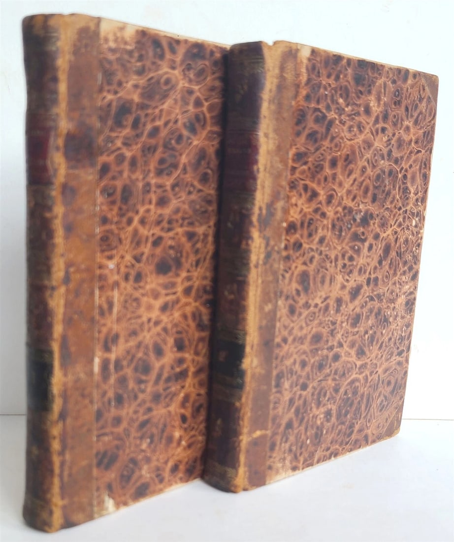 1824 HISTORY of RINALDO RINALDINI CAPTAIN of BANDITTI 2 VOLS antique AMERICANA - 2