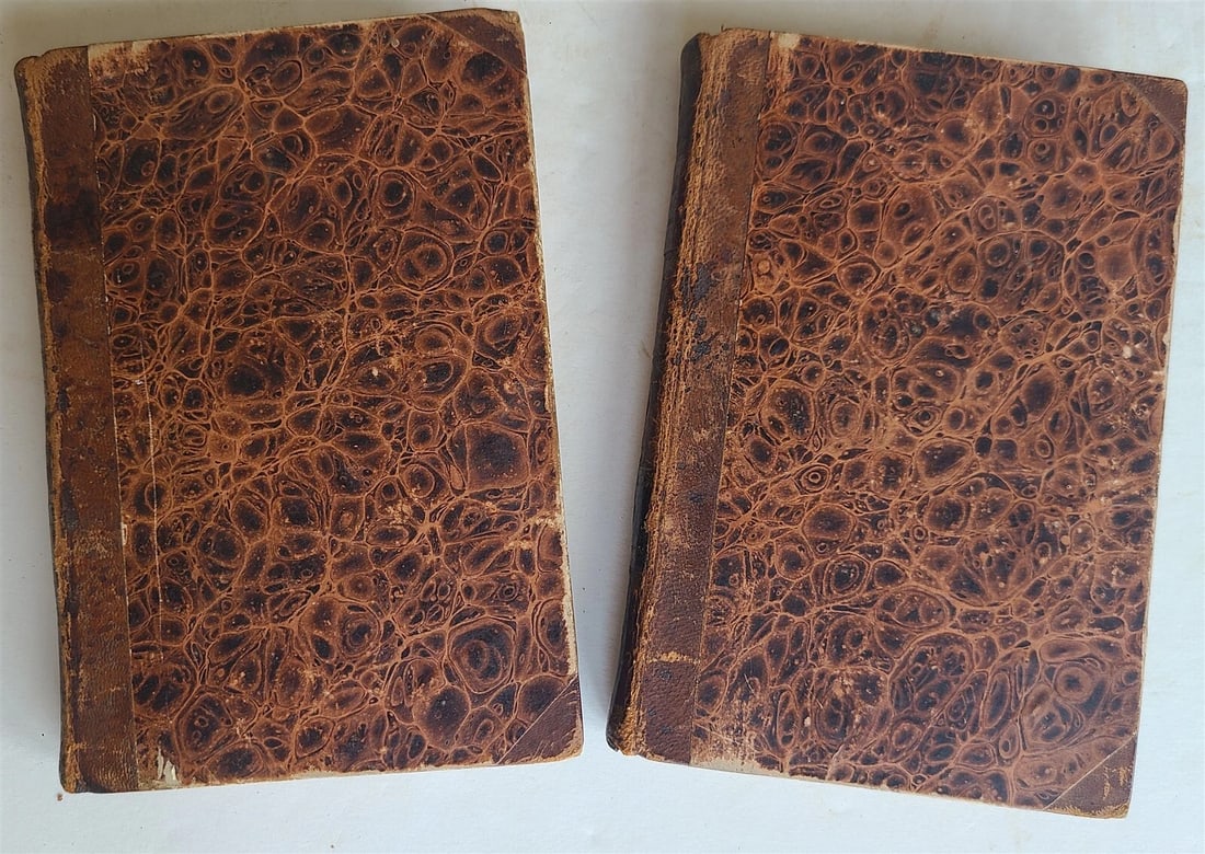 1824 HISTORY of RINALDO RINALDINI CAPTAIN of BANDITTI 2 VOLS antique AMERICANA - 3