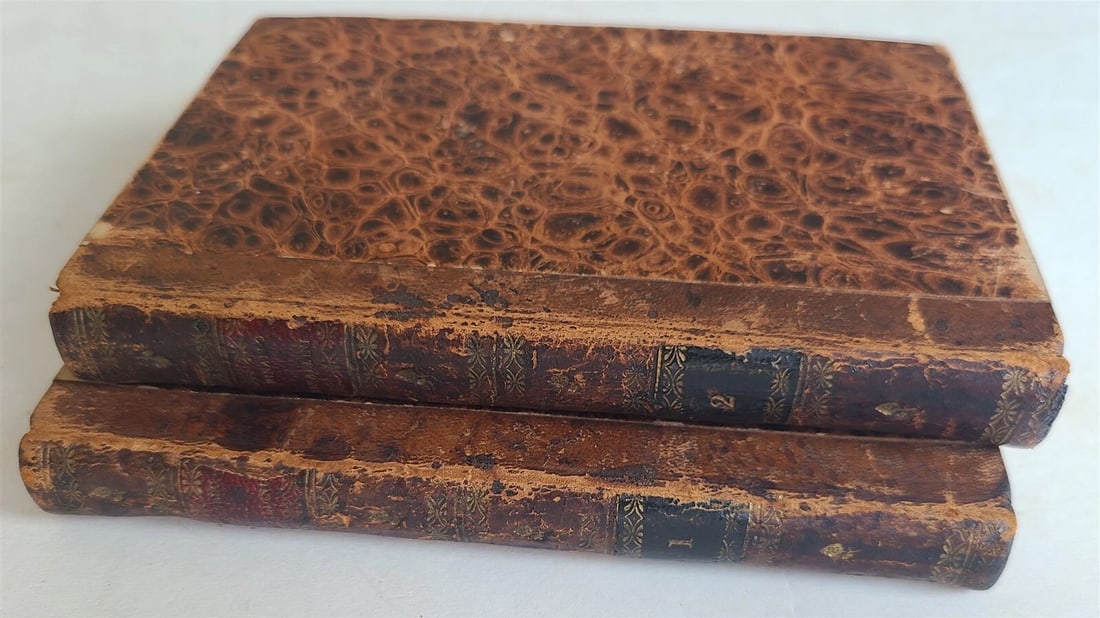 1824 HISTORY of RINALDO RINALDINI CAPTAIN of BANDITTI 2 VOLS antique AMERICANA - 4