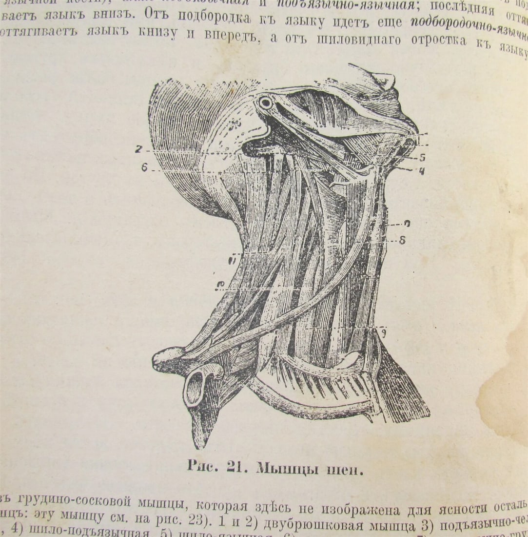 1916 RUSSIAN MEDICAL TEXTBOOK for MILITARY DOCTORS antique WWI ERA illustrated - 4