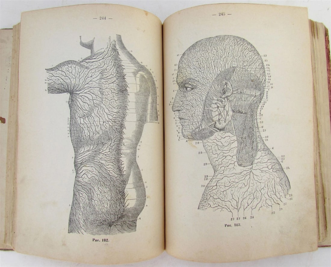 1916 RUSSIAN MEDICAL TEXTBOOK for MILITARY DOCTORS antique WWI ERA illustrated - 6