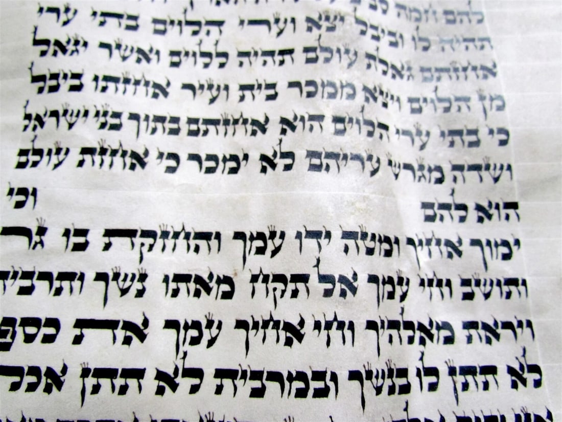 TORAH SCROLL FRAGMENT MANUSCRIPT VELLUM ANTIQUE BIBLE Leviticus 24:2-26:18 - 3