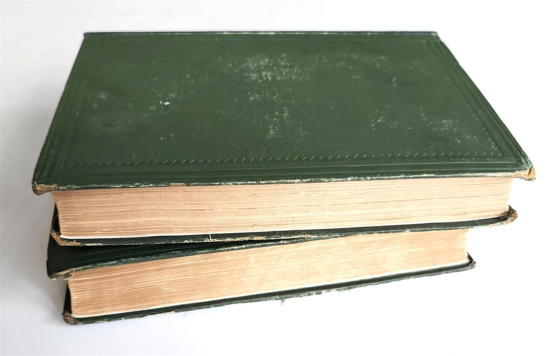 1879 TENT WORK in PALESTINE DISCOVERY & ADVENTURE antique 2 VOLUMES ILLUSTRATED - 3