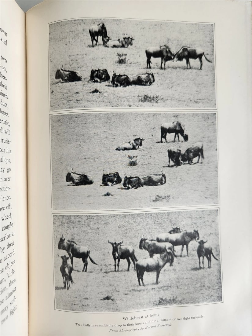 1910 AFRICAN GAME TRAILS by THEODORE ROOSEVELT antique ILLUSTRATED - 10
