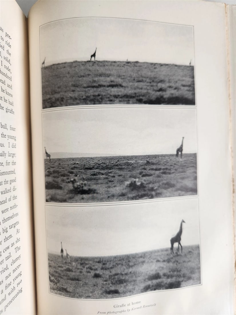 1910 AFRICAN GAME TRAILS by THEODORE ROOSEVELT antique ILLUSTRATED - 11