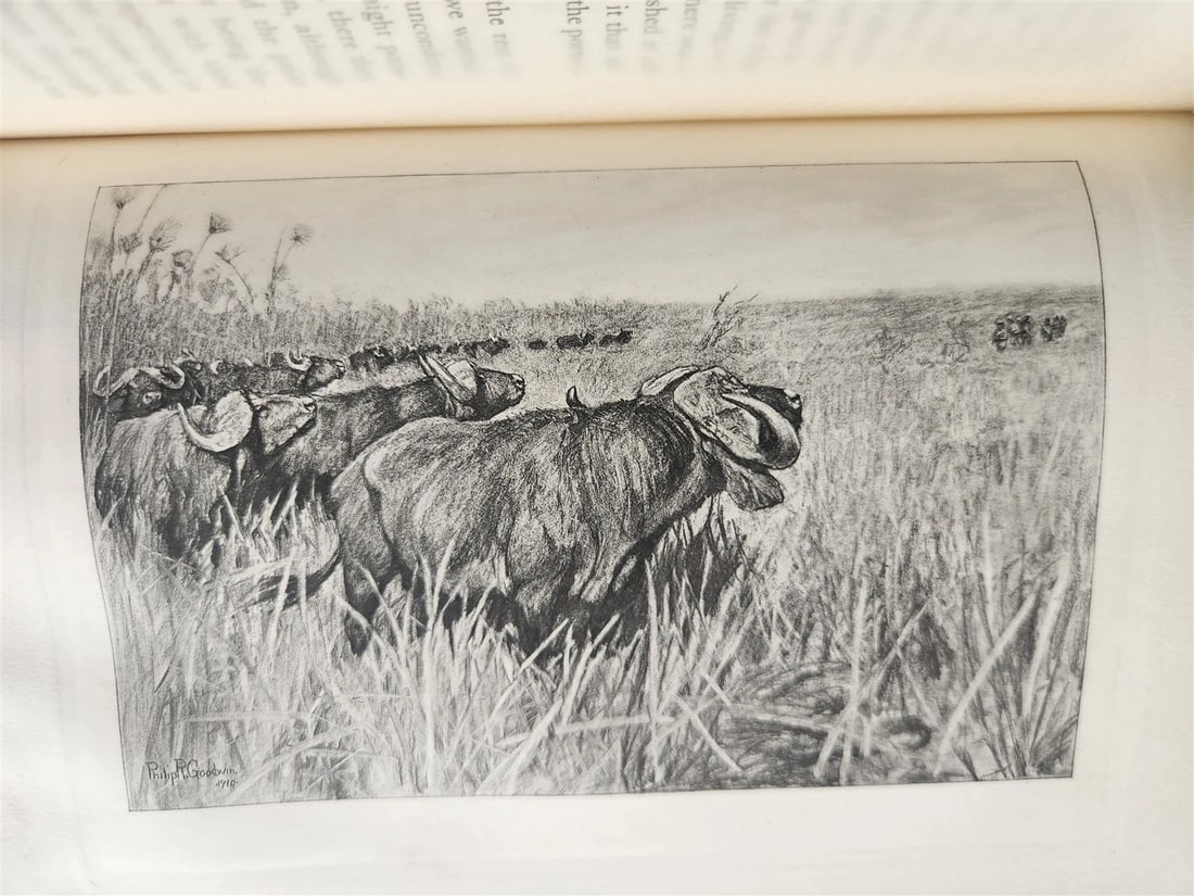 1910 AFRICAN GAME TRAILS by THEODORE ROOSEVELT antique ILLUSTRATED - 13