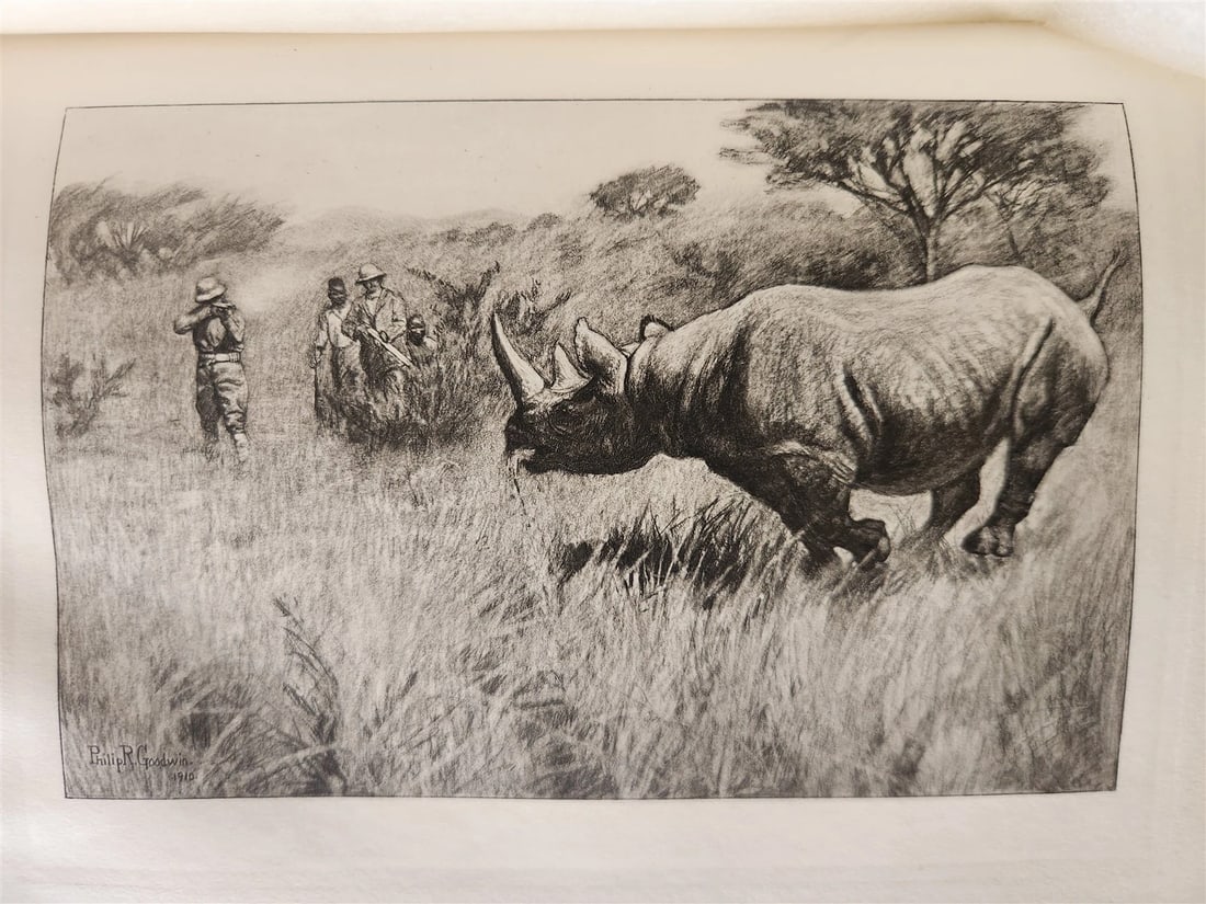 1910 AFRICAN GAME TRAILS by THEODORE ROOSEVELT antique ILLUSTRATED - 15