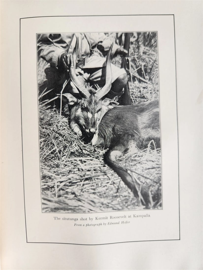 1910 AFRICAN GAME TRAILS by THEODORE ROOSEVELT antique ILLUSTRATED - 16