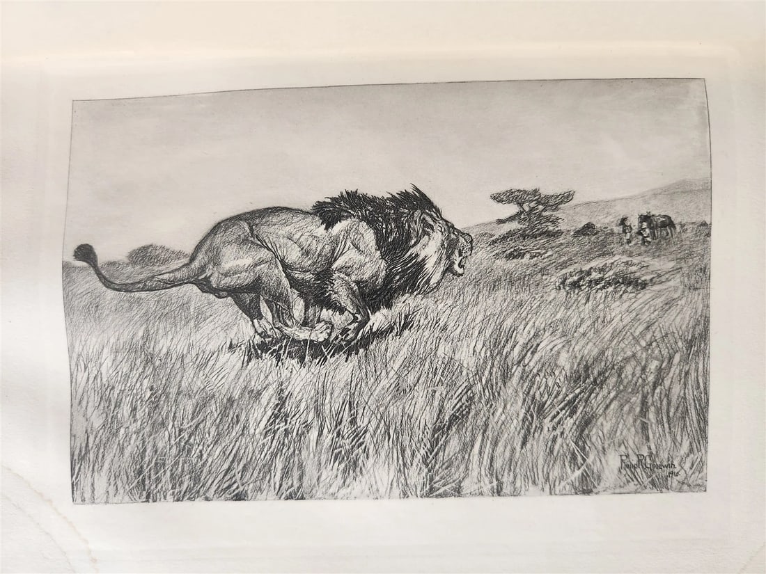 1910 AFRICAN GAME TRAILS by THEODORE ROOSEVELT antique ILLUSTRATED - 9