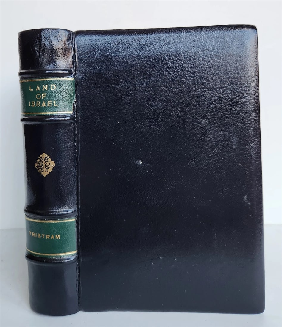 1876 THE LAND OF ISRAEL JOURNAL OF TRAVELS in PALESTINE ILLUSTRATED antique - 2