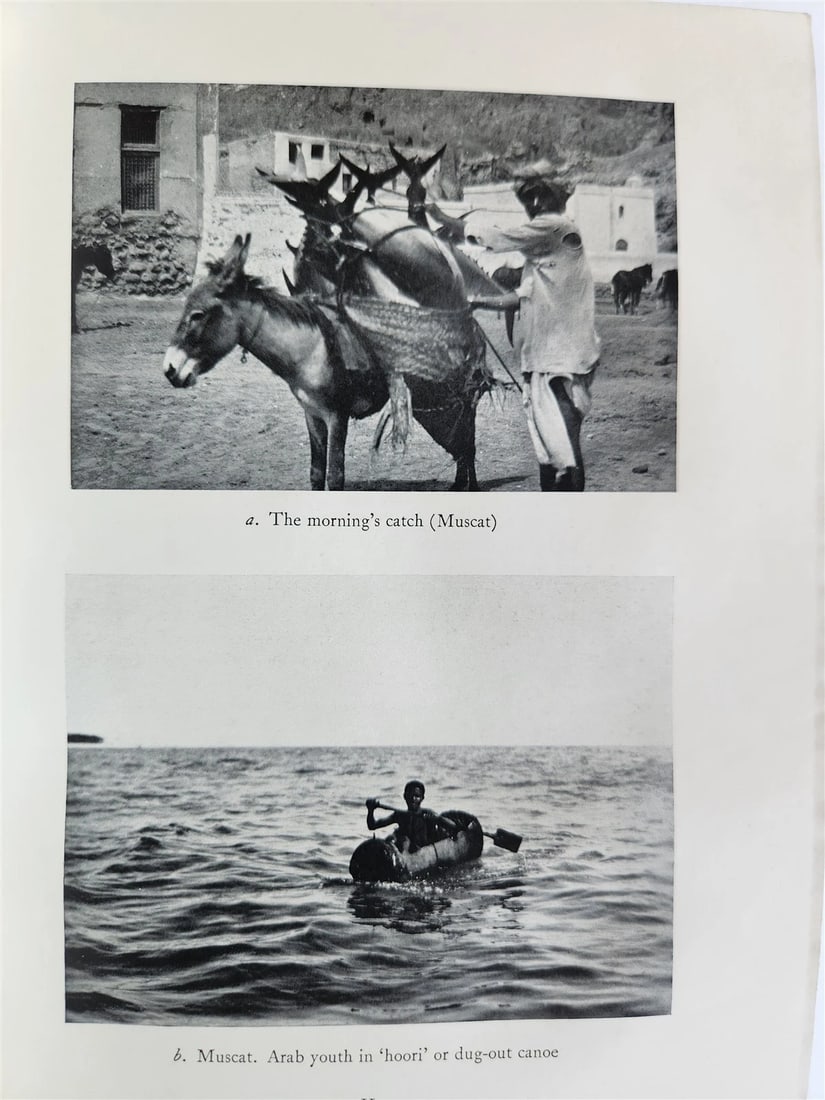 1928 THE PERSIAN GULF by ARNOLD WILSON antique - 8