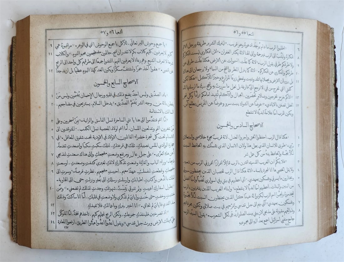 1890s BIBLE in ARABIC LANGUAGE antique OLD TESTAMENT - 8