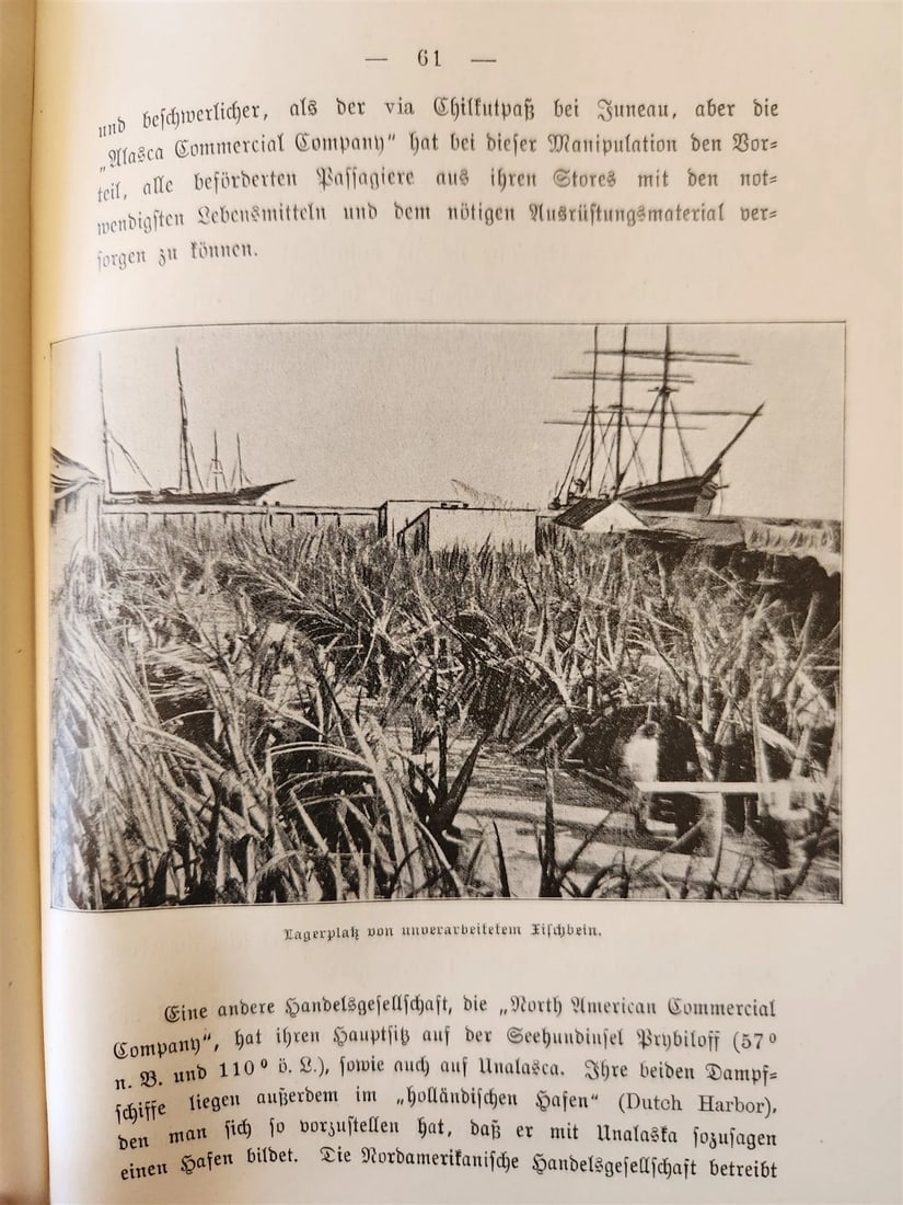 1897 Auf nach ALASKA by J. Moller antique ILLUSTRATED in GERMAN - 16