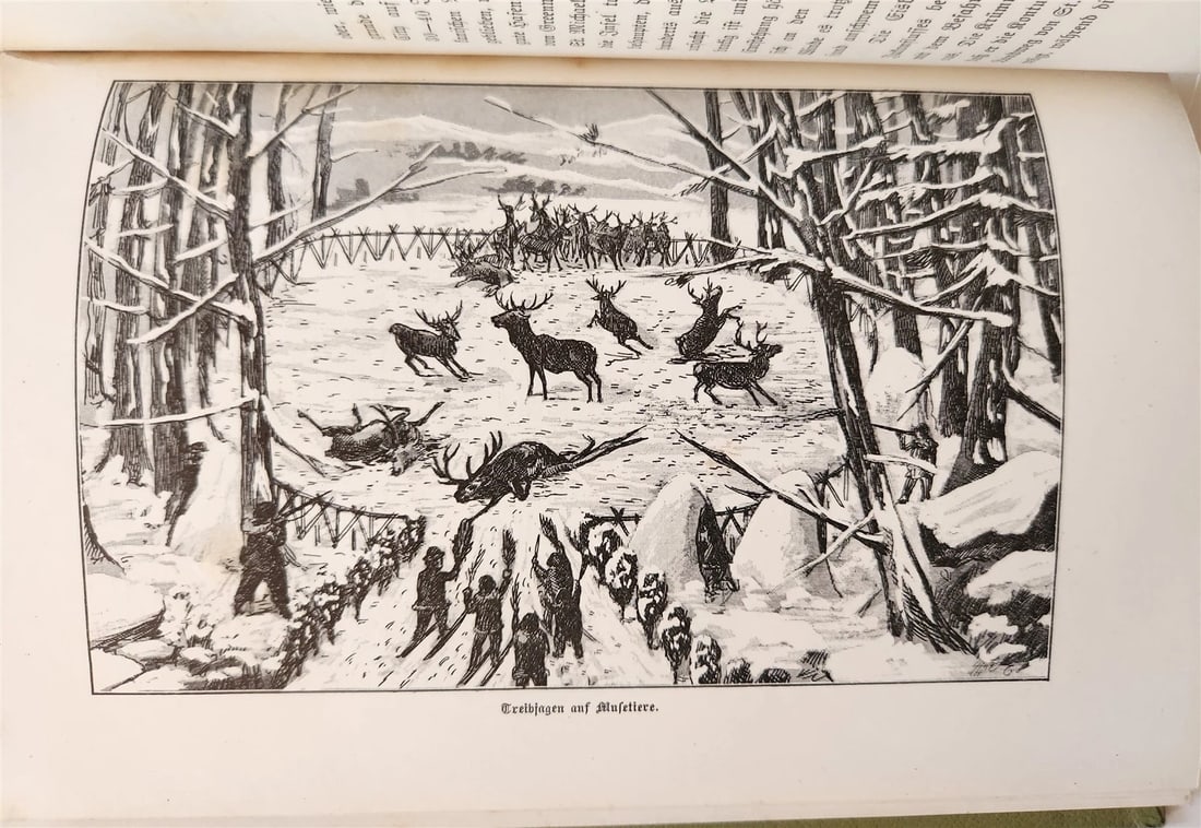 1897 Auf nach ALASKA by J. Moller antique ILLUSTRATED in GERMAN - 6