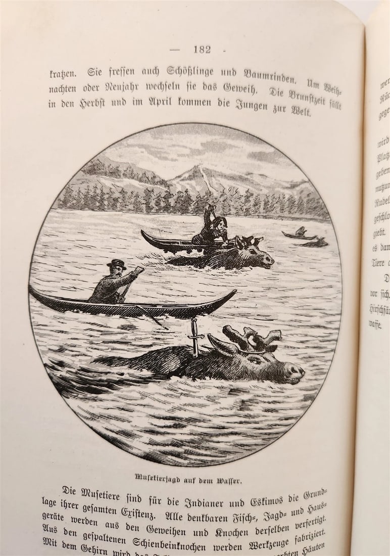 1897 Auf nach ALASKA by J. Moller antique ILLUSTRATED in GERMAN - 7
