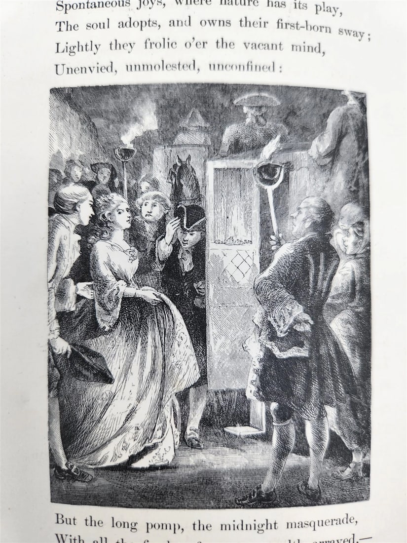 1880s DESERTED VILLAGE Goldsmith VELVET BINDING METAL TITLE antique ILLUSTRATED - 8