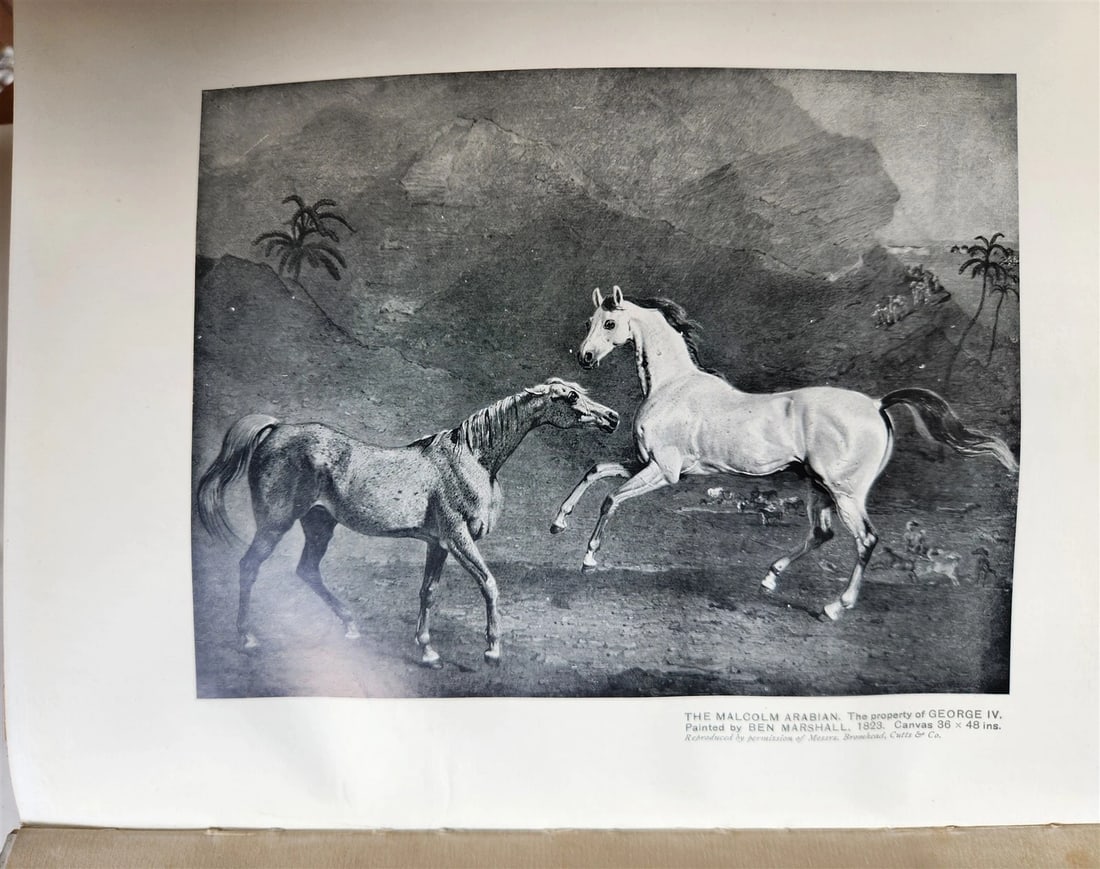 1922 BRITISH SPORTING ARTISTS antique ILLUSTRATED - 18