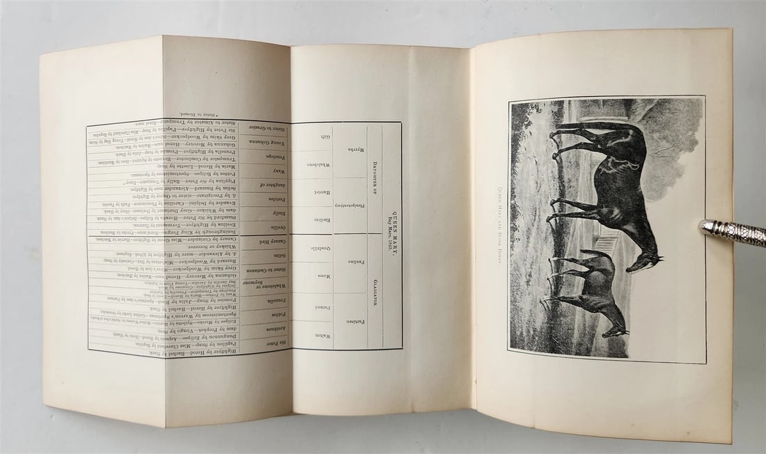 1889 IN THE NORTH COUNTREE ANNALS of HORSE HOUND & HERD antique ILLUSTRATED - 12