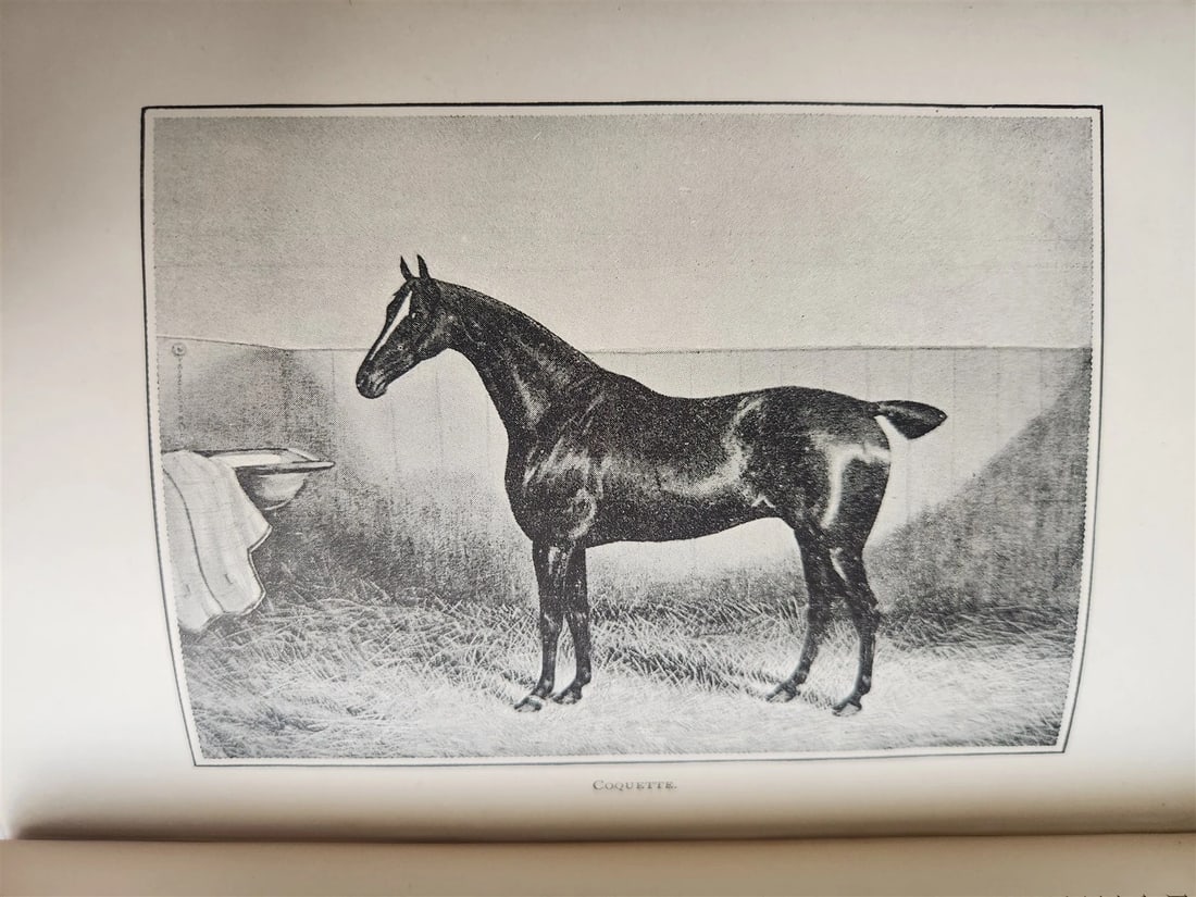 1889 IN THE NORTH COUNTREE ANNALS of HORSE HOUND & HERD antique ILLUSTRATED - 6