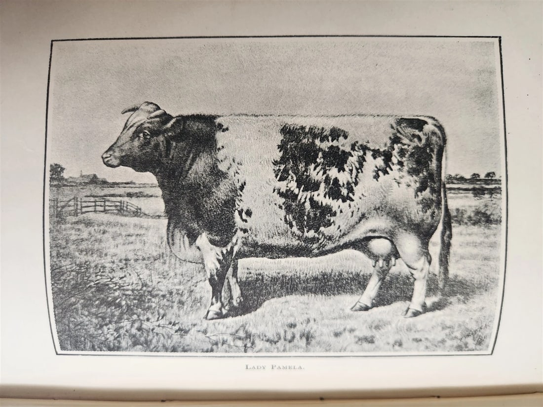 1889 IN THE NORTH COUNTREE ANNALS of HORSE HOUND & HERD antique ILLUSTRATED - 7