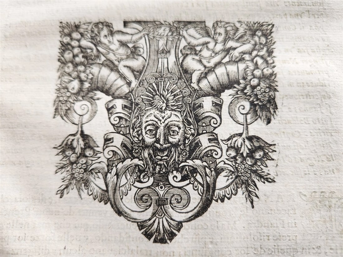 1645 HISTORY of FLANDERS & FRANCE antique VELLUM BOUND FOLIO - 5