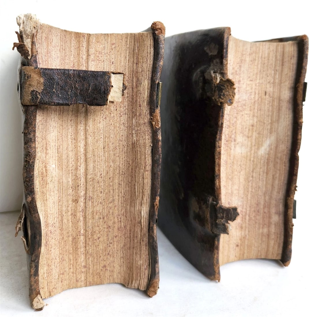 1573 SERMONS by San Vincenzo Ferrreri 2 VOLUMES antique 16th CENTURY in LATIN - 3