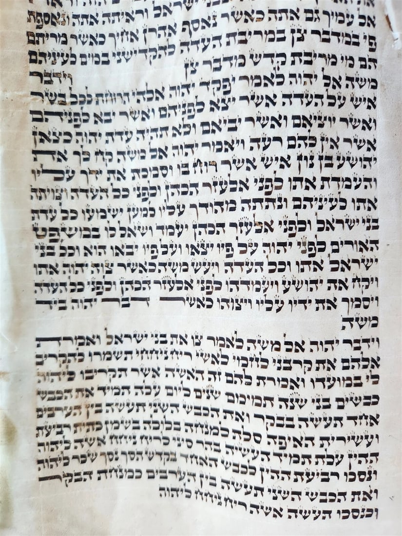 TORAH SCROLL FRAGMENT MANUSCRIPT on VELLUM antique BIBLE BOOK OF NUMBERS - 3