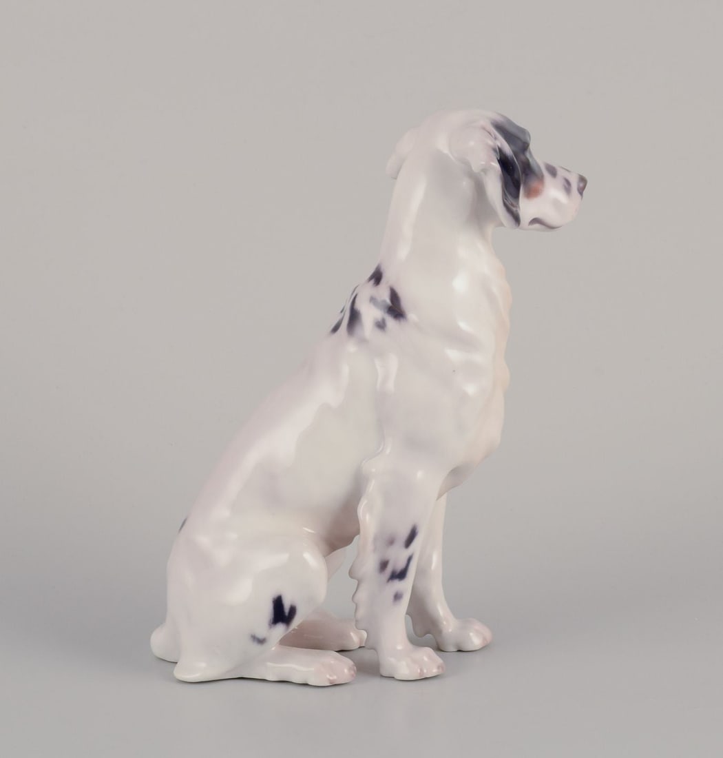 Bing & Grondahll. Porcelain figurine of English Setter. Rare figurine. Approx. 1920s. - 3