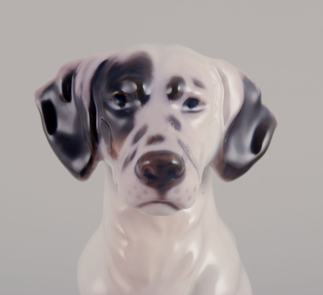 Bing & Grondahll. Porcelain figurine of English Setter. Rare figurine. Approx. 1920s. - 5