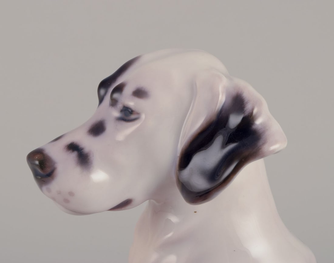 Bing & Grondahll. Porcelain figurine of English Setter. Rare figurine. Approx. 1920s. - 6