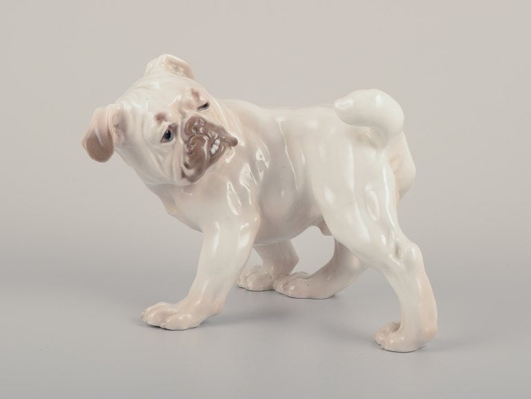 Bing & Grondahll, English Bulldog.: Bing & Grondahll, English Bulldog. Model number 1992. Approximately from the 1930s. Marked. Second factory quality. In perfect condition. Dimensions: L 18.0 cm x H 13.5 cm. Reserve: $448.00 Shipping: