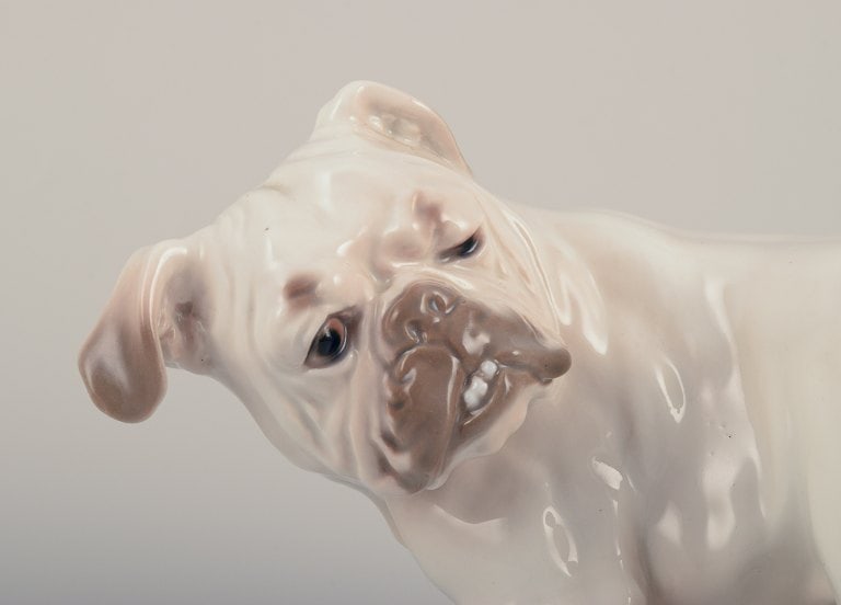 Bing & Grondahll, English Bulldog. - 3