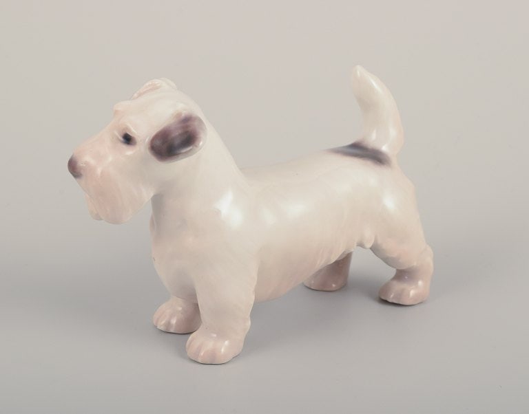 Bing & Grondahll, small porcelain figurine of a Sealyham Terrier. - 3