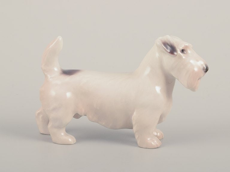 Bing & Grondahll, small porcelain figurine of a Sealyham Terrier. - 4