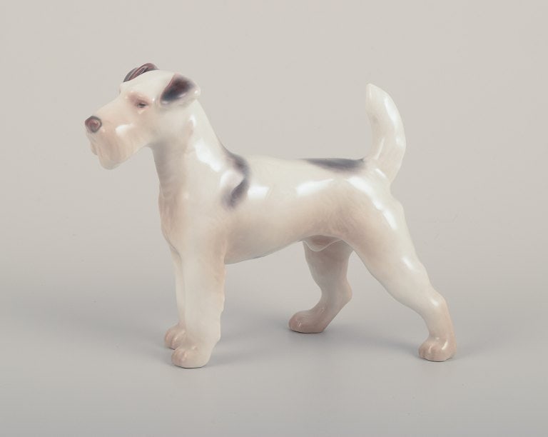 Bing & Grondahll, porcelain figurine of a Wire Fox Terrier.: Bing & Grondahll, porcelain figurine of a Wire Fox Terrier. Model number 2072. Approximately from 1930. First factory quality. Perfect condition. Marked. Dimensions: H 9.0 cm x L 11.0 cm. Reserve: