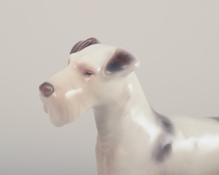 Bing & Grondahll, porcelain figurine of a Wire Fox Terrier. - 2