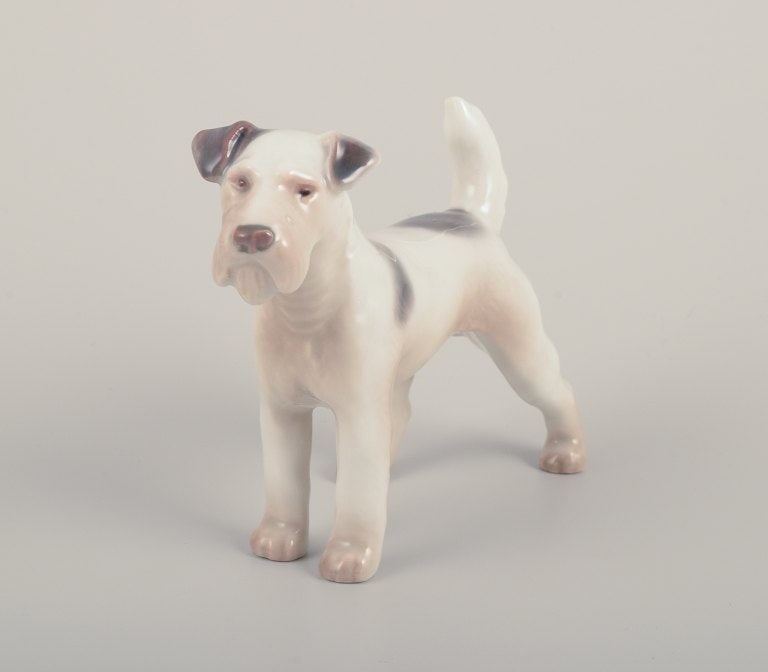Bing & Grondahll, porcelain figurine of a Wire Fox Terrier. - 3