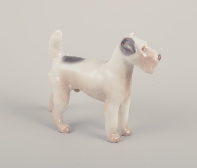 Bing & Grondahll, porcelain figurine of a Wire Fox Terrier. - 4