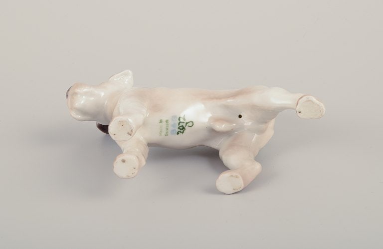 Bing & Grondahll, porcelain figurine of a Wire Fox Terrier. - 5