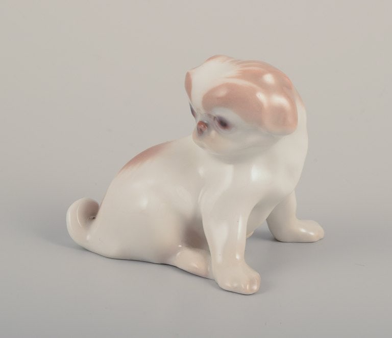 Bing & Grondahll, porcelain figurine of a Pekingese puppy. - 2