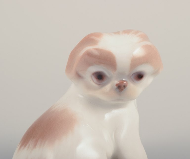 Bing & Grondahll, porcelain figurine of a Pekingese puppy. - 4