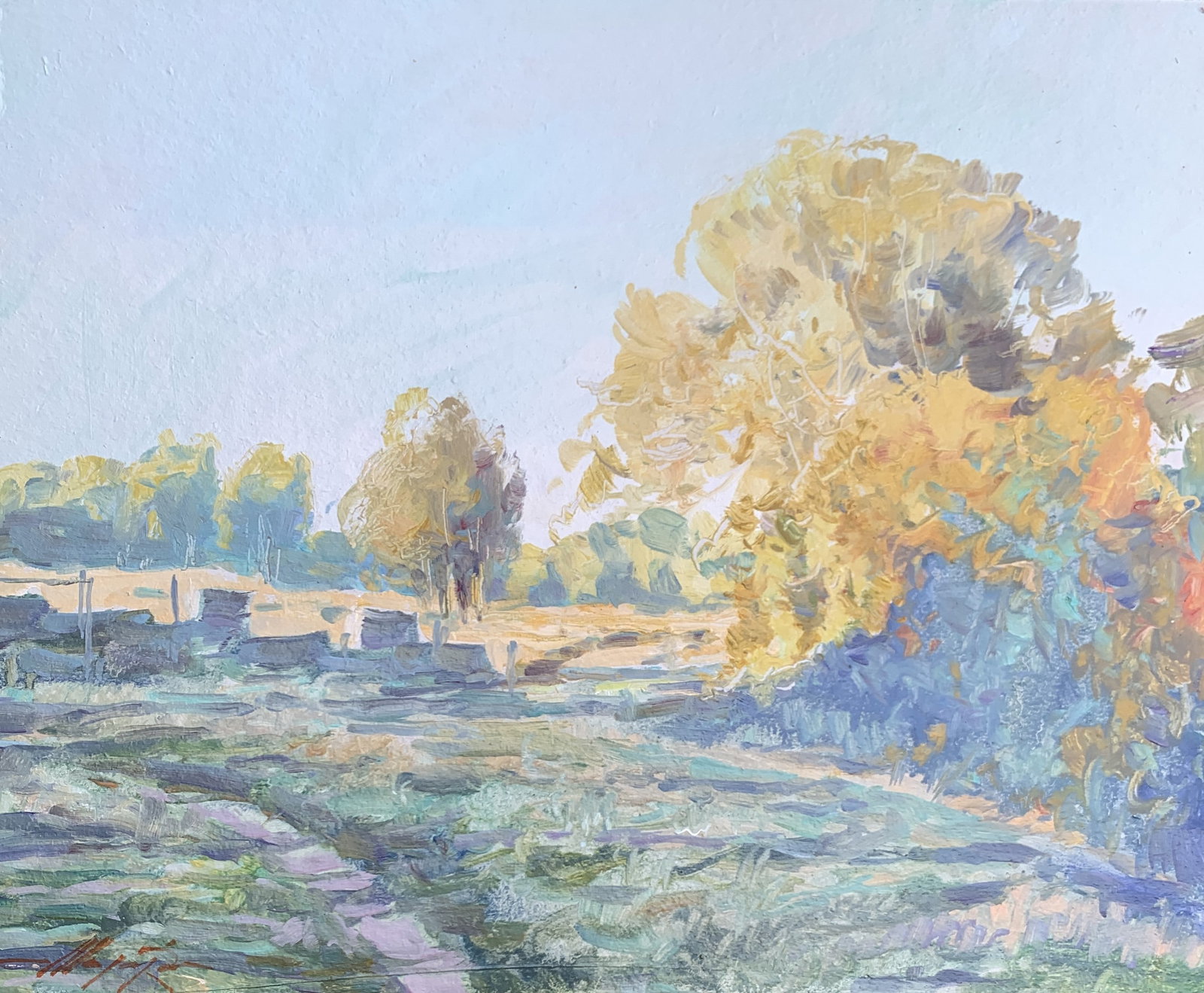 Oil painting Evening Oleksandr Oleksandrovich Nazarenko: Title: Oil painting Evening Oleksandr Oleksandrovich Nazarenko Description: 70NAA Painter: Oleksandr Nazarenko Size: 33x40 cm/12,99x15,75 inches Components: Oil, cardboard Original painting from our c