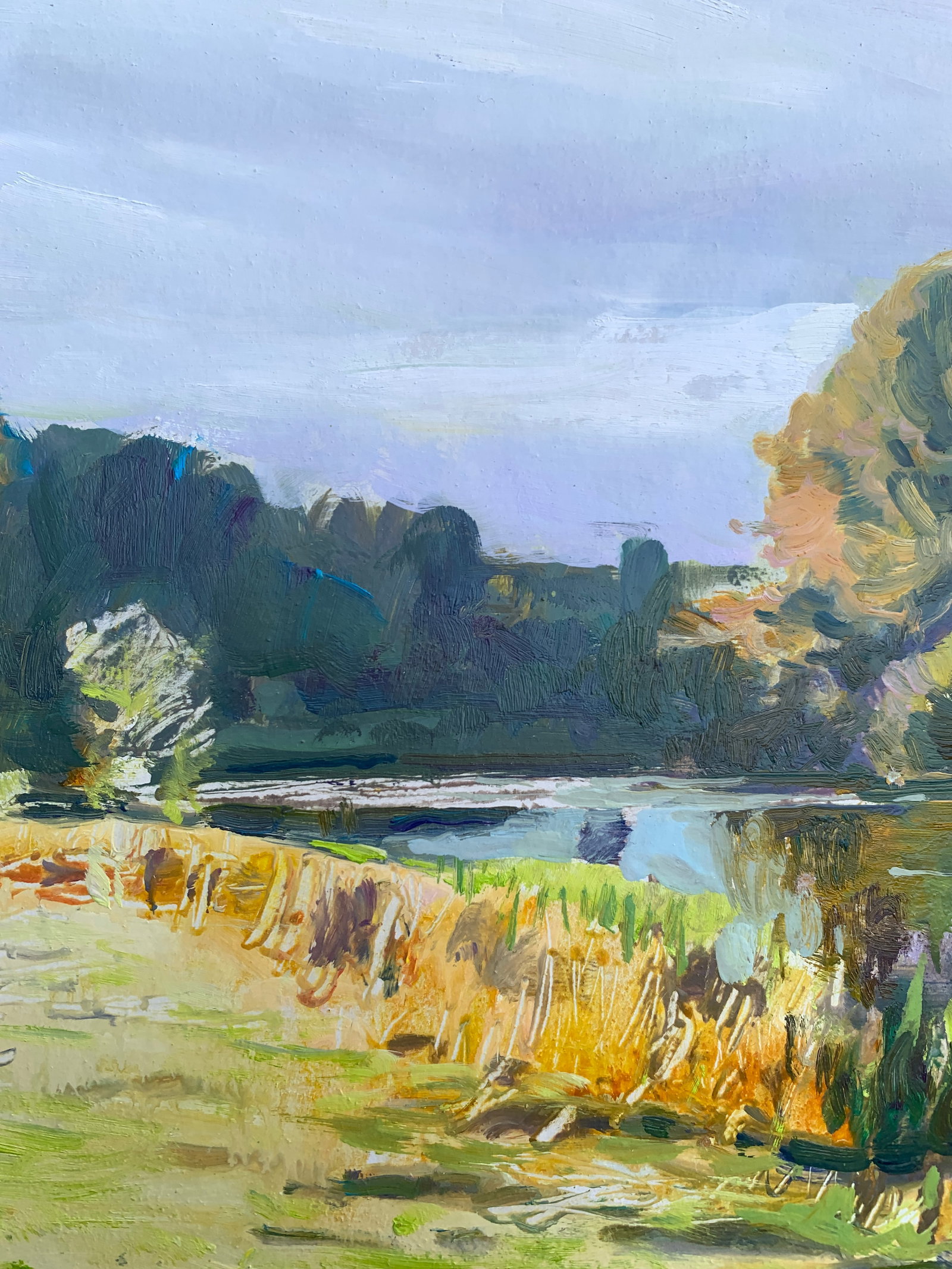 Oil painting Evening Oleksandr Oleksandrovich Nazarenko - 4