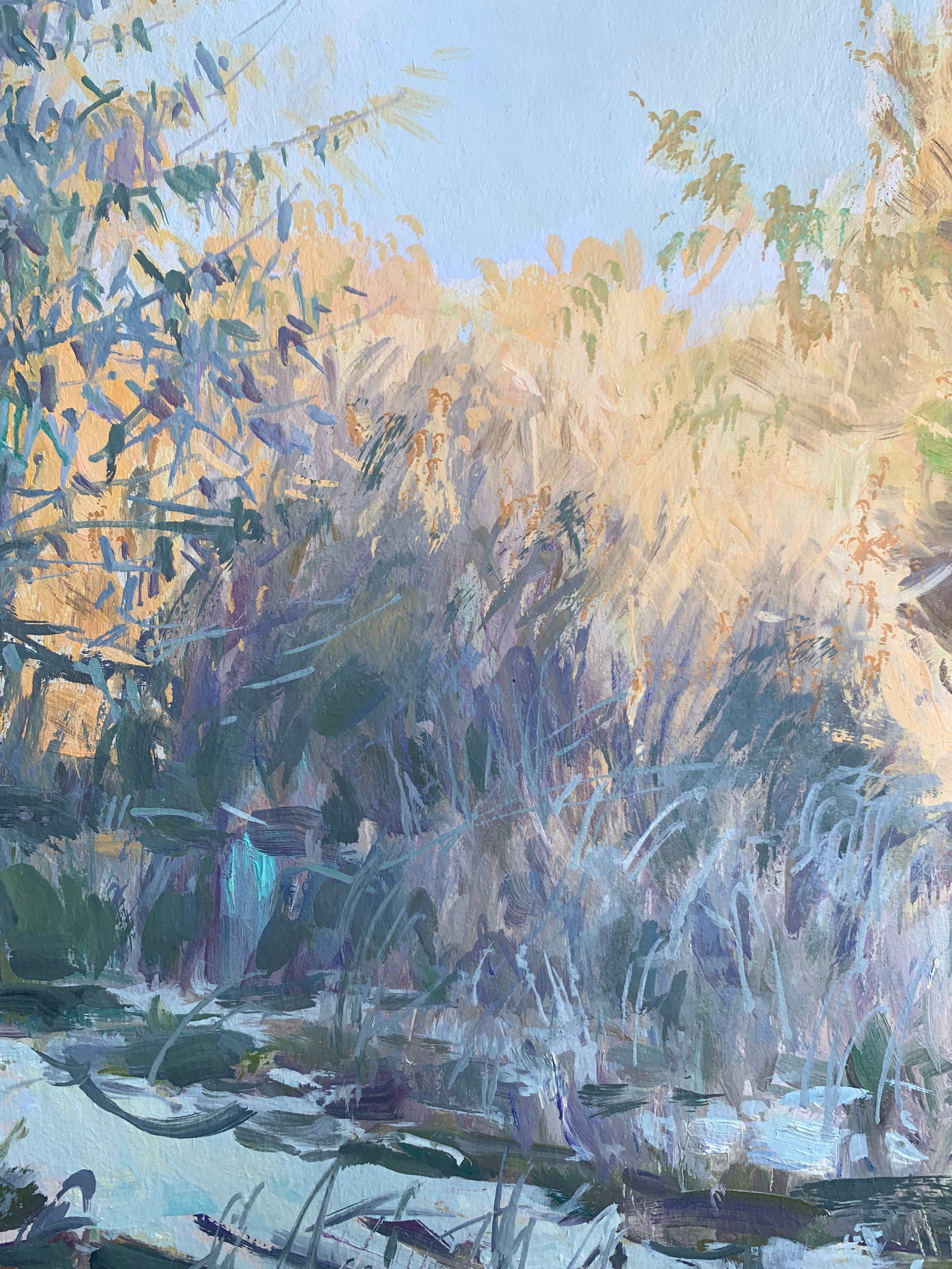 Oil painting A frosty day. Sun Oleksandr Oleksandrovich Nazarenko - 3