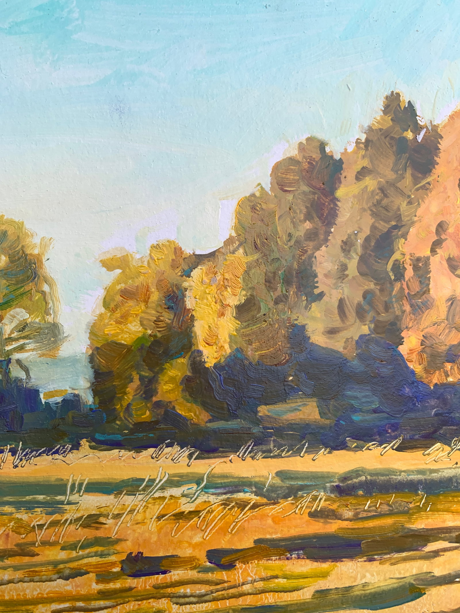 Oil painting Autumn Oleksandr Oleksandrovich Nazarenko - 10