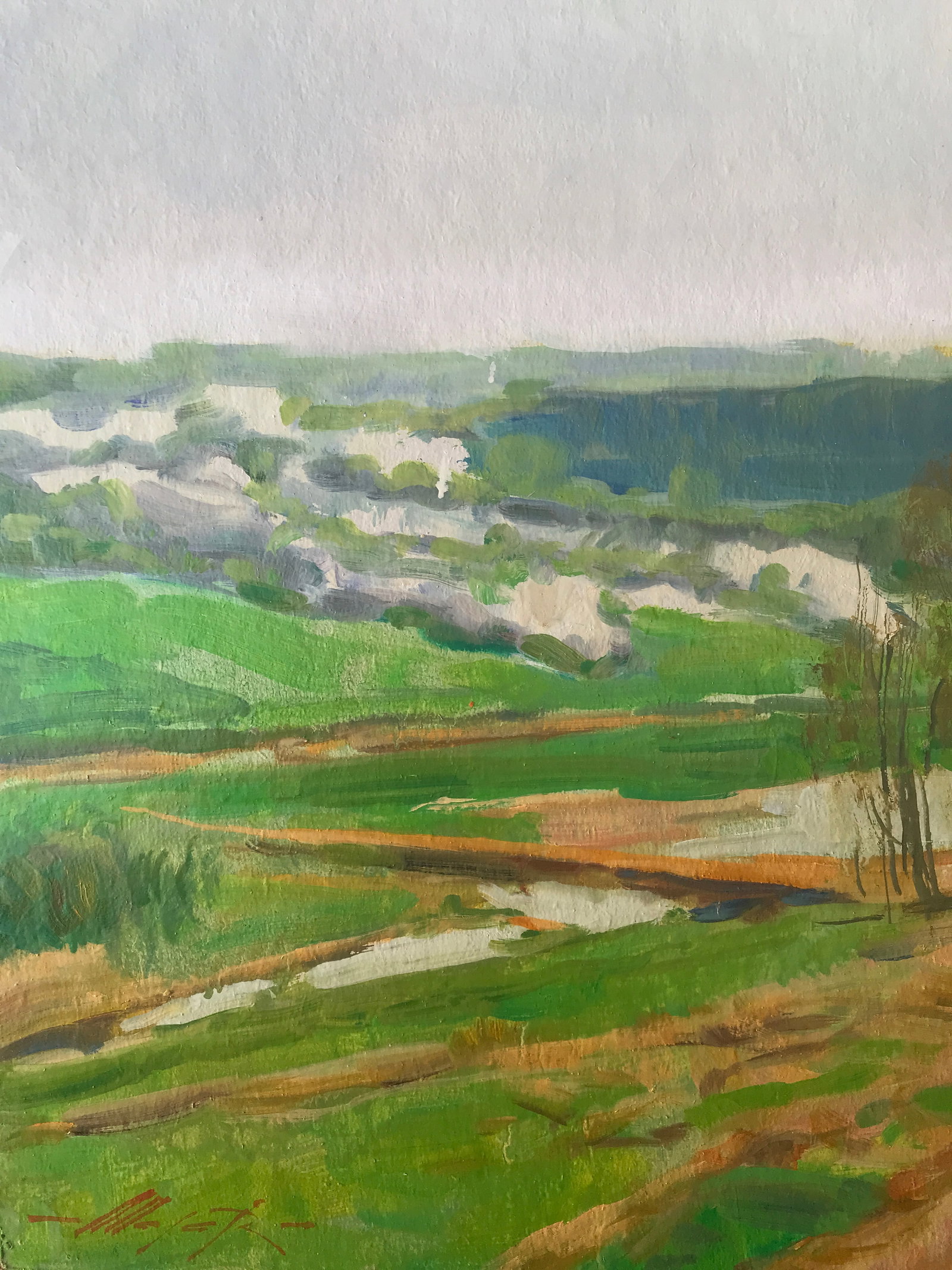 Oil painting May Oleksandr Oleksandrovich Nazarenko - 5