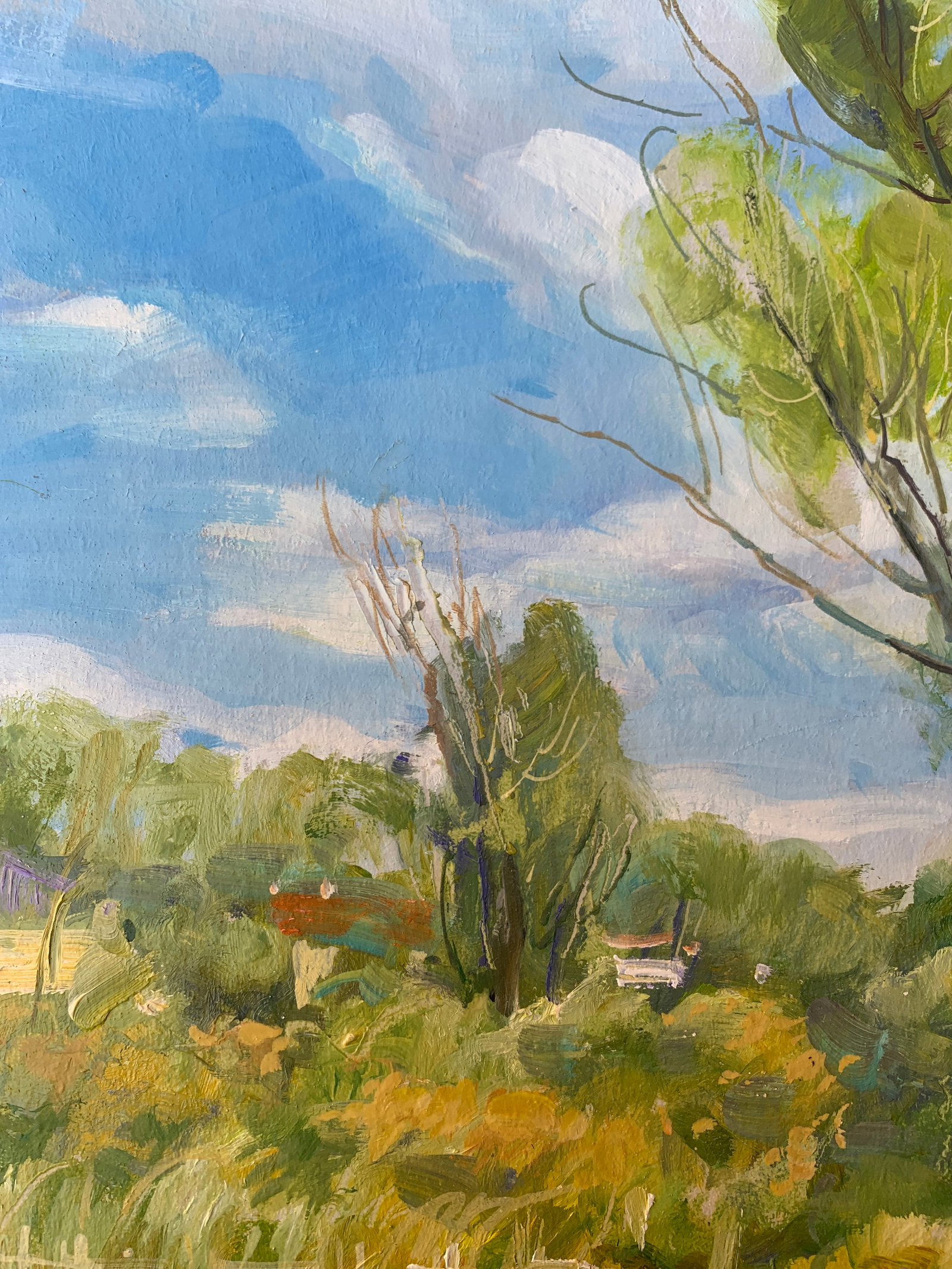 Oil painting In the village Oleksandr Oleksandrovich Nazarenko - 4