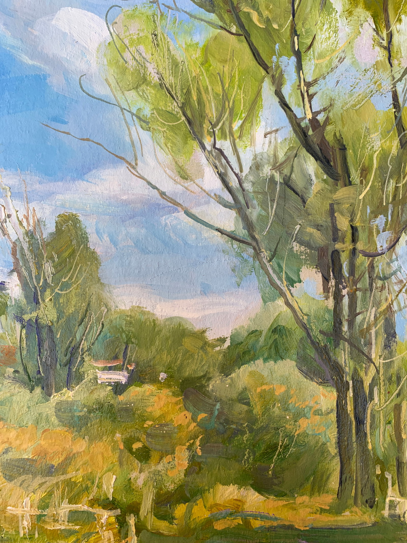 Oil painting In the village Oleksandr Oleksandrovich Nazarenko - 6