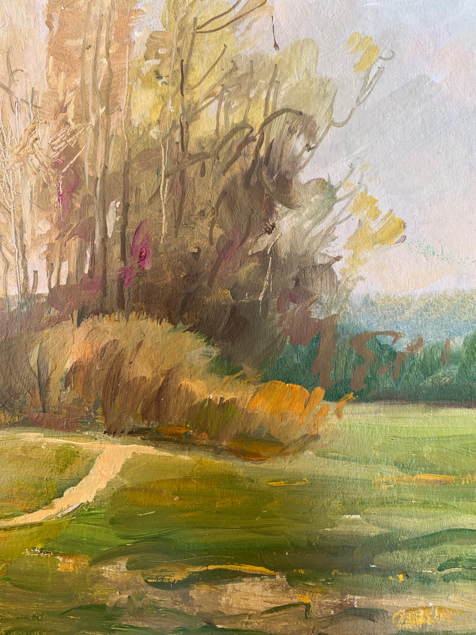 Oil painting Autumn is coming Oleksandr Oleksandrovich Nazarenko - 11