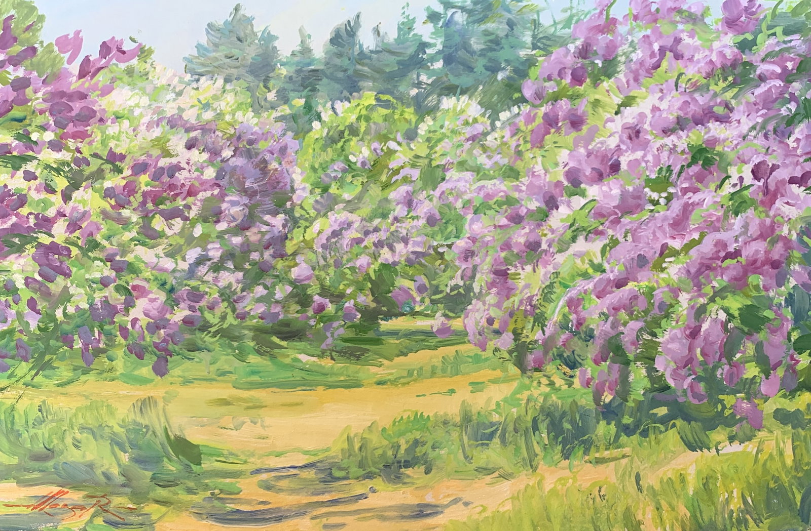 Oil painting The lilac is blooming Oleksandr Oleksandrovich Nazarenko: Title: Oil painting The lilac is blooming Oleksandr Oleksandrovich Nazarenko Description: 101NAA Painter: Oleksandr Nazarenko Size: 35x50 cm/13,78x19,68 inches Components: Oil, cardboard Original pain